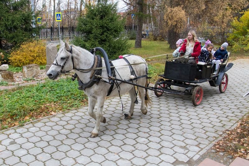 Православный патриотический праздник состоялся в воскресной школе Храма Живоначальной Троицы в Остафьеве