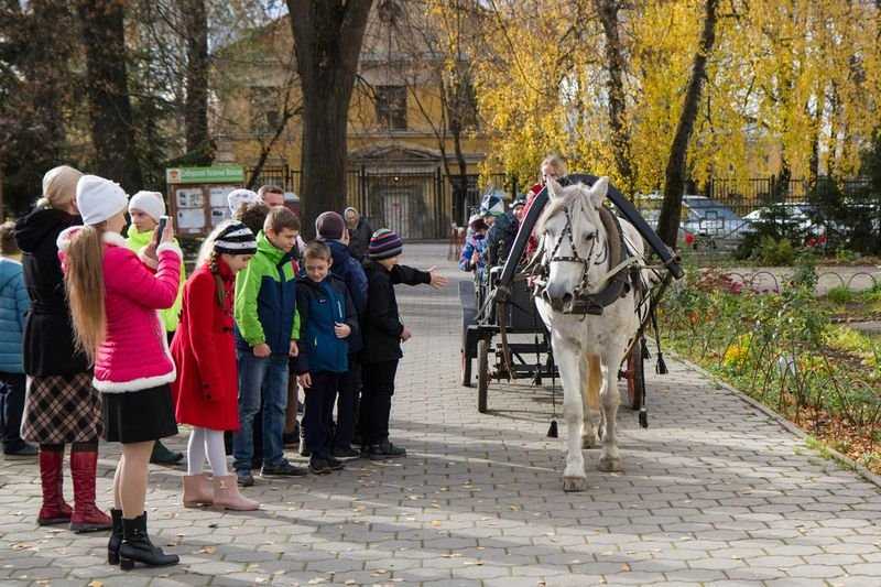 Православный патриотический праздник состоялся в воскресной школе Храма Живоначальной Троицы в Остафьеве