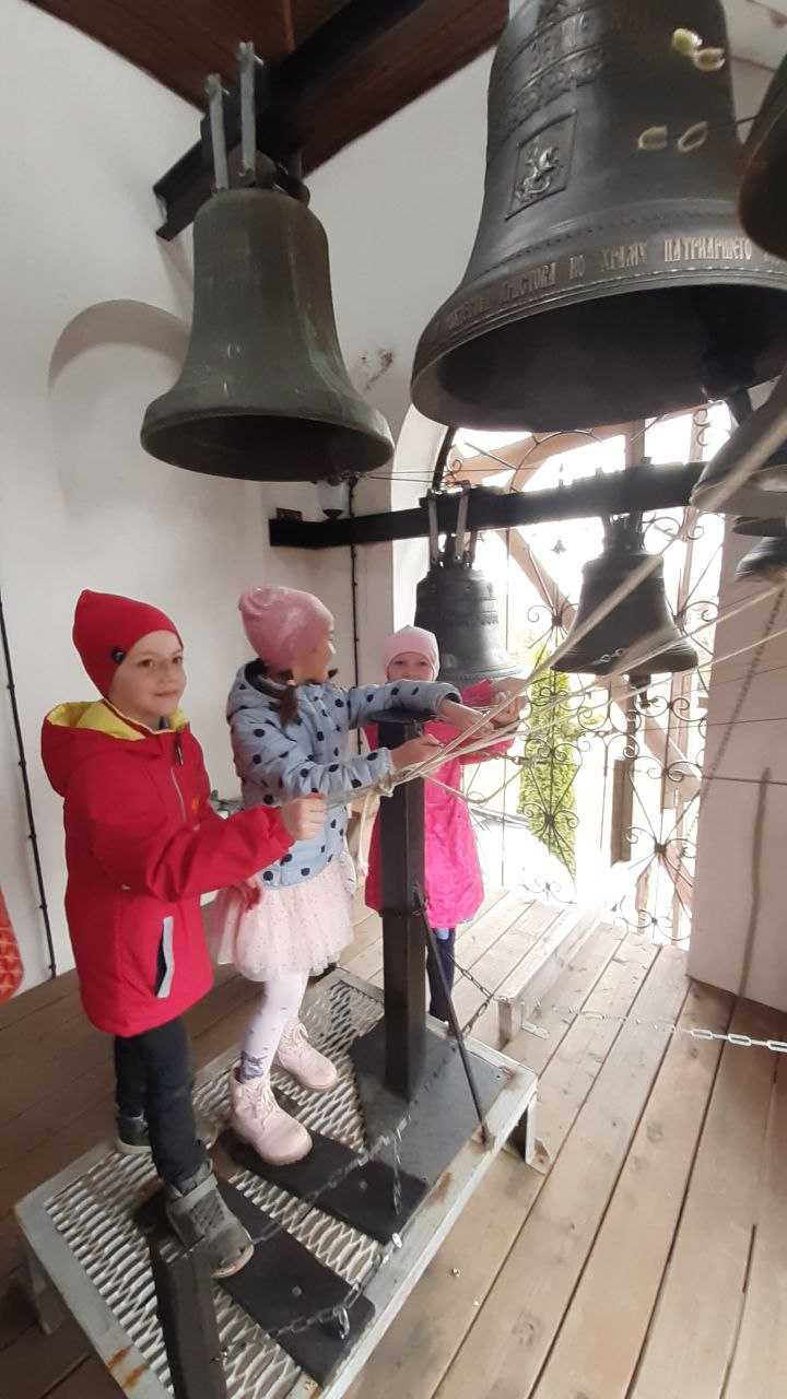 photo5418201935573530981